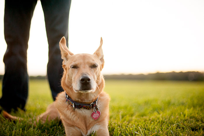 Rose Hill engagement (12)