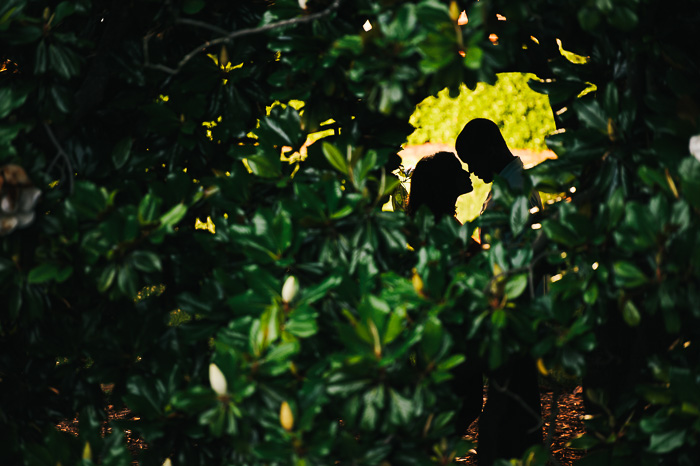 Greensboro engagement, engagement photographer, UNC greensboro, UNCG, Carolina theater