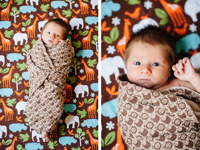 newborn photography, raleigh photographer