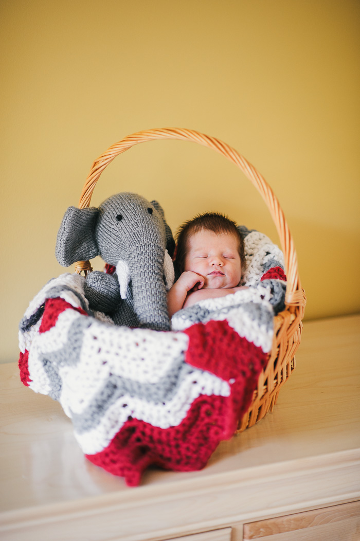 newborn photography, raleigh photographer