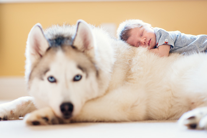 newborn photography, raleigh photographer