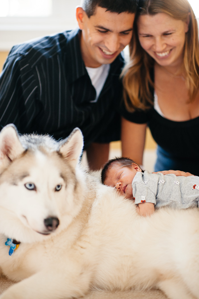 newborn photography, raleigh photographer