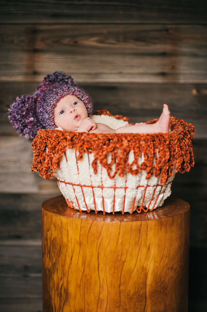 newborn photography, sanford photographer, nc photographer, baby portraits