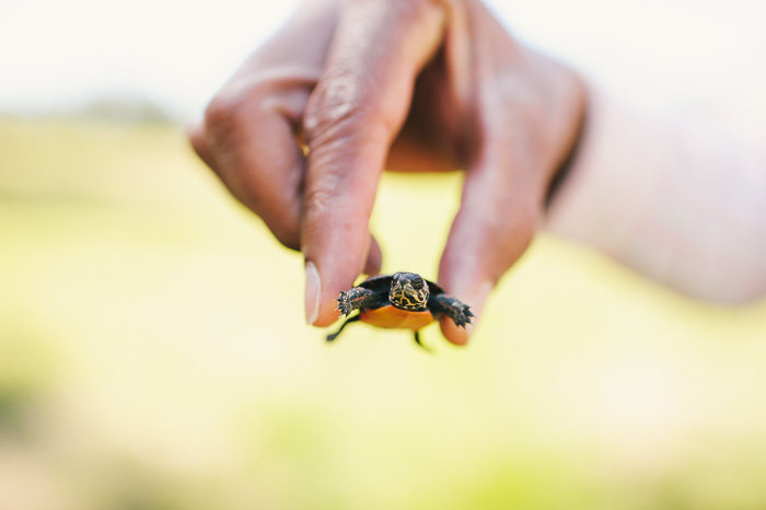 Tisha Powell, maternity photographer, chapel hill, maternity session