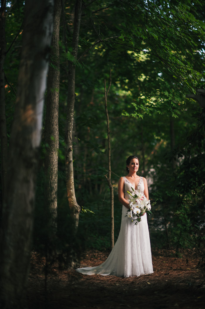 Raleigh bridal portraits, raleigh photographer, bridal portraits