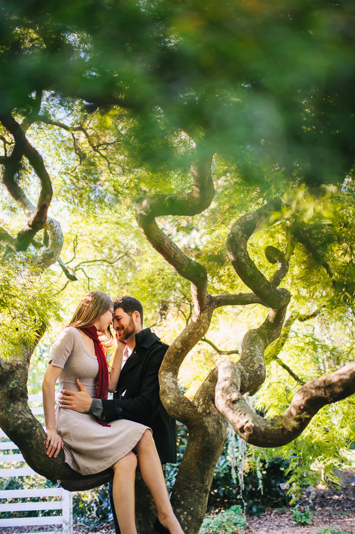 raleigh engagement pictures, jc raulston arboretum, downtown raleigh, engagement photographer