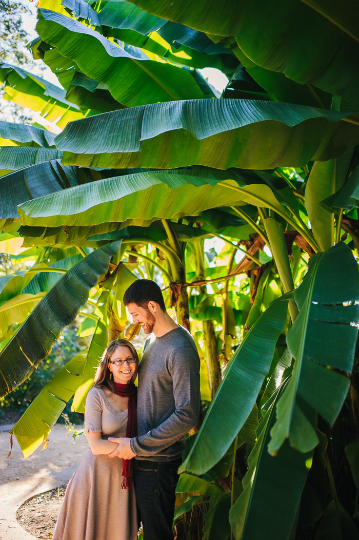 raleigh engagement pictures, jc raulston arboretum, downtown raleigh, engagement photographer