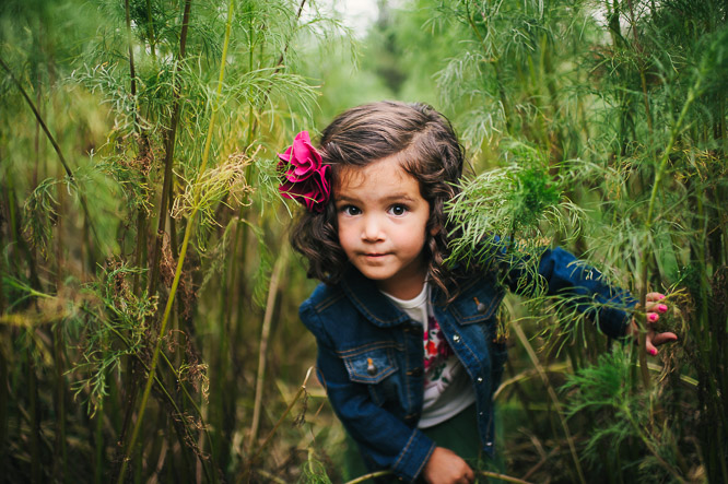 Raleigh Photographer, JC Raulston Arboretum, family portraits, family photographer, raleigh photographer