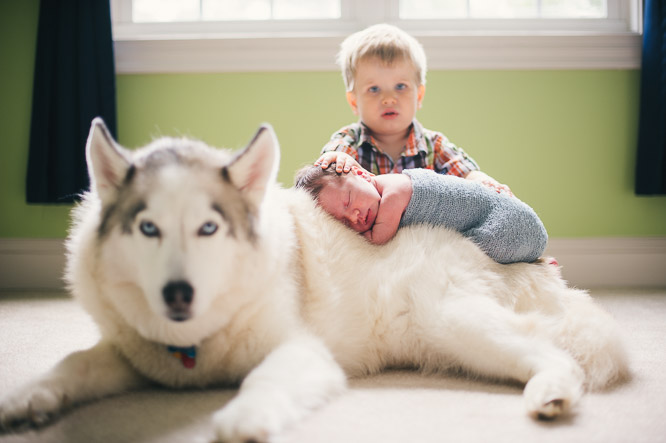 newborn photography, Raleigh newborn photographer, raleigh photographer, family photography