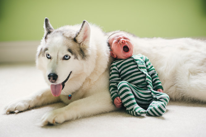 newborn photography, Raleigh newborn photographer, raleigh photographer, family photography