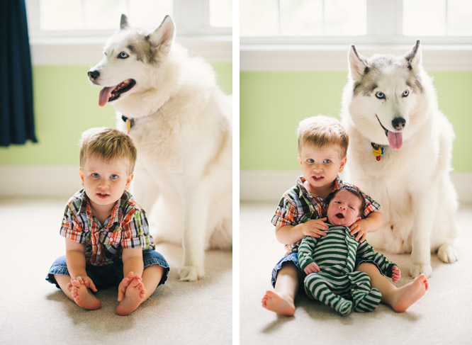 newborn photography, Raleigh newborn photographer, raleigh photographer, family photography