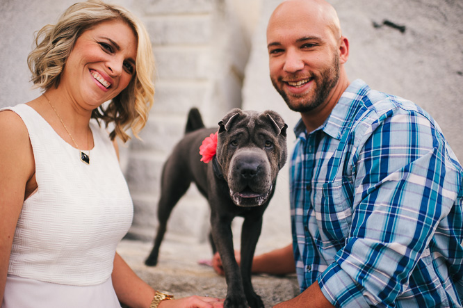 charlotte photographer, engagement photographer, romare bearden park, charlotte engagement pictures