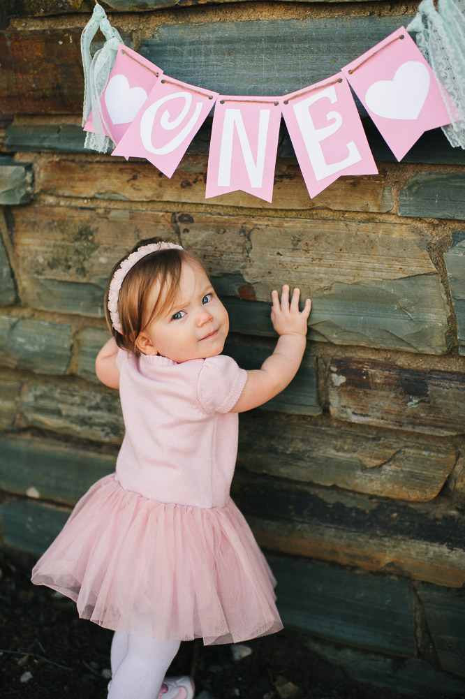 Family photographer, sanford photographer, morrow mountain (1)