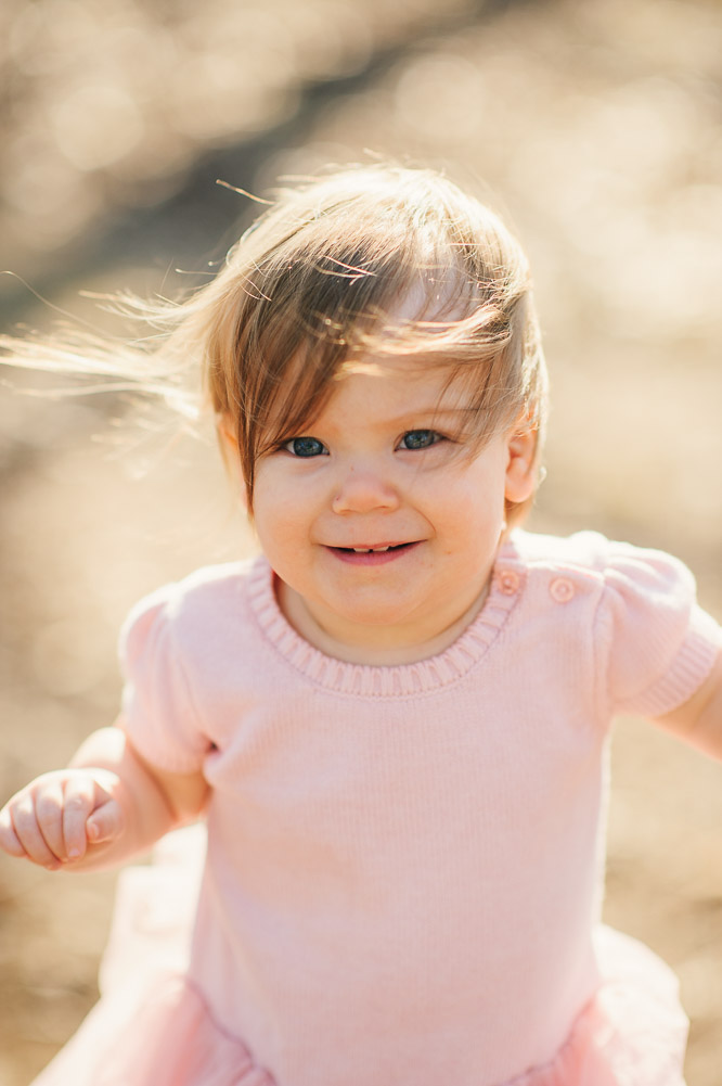 Family photographer, sanford photographer, morrow mountain (5)